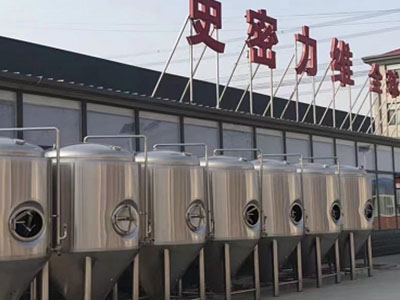 东丽精酿啤酒设备厂—如何判断精酿啤酒设备的密封件需要更换？